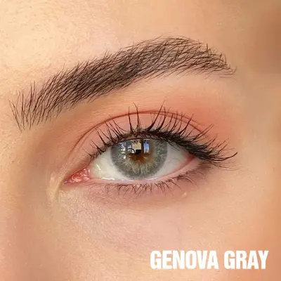 FX EYES 3 Monthly Gri Renkler - 2