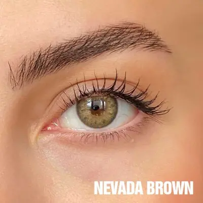 FX EYES 3 Monthly Kahverengi Renkler - 4