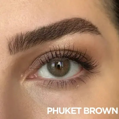 FX EYES 3 Monthly Kahverengi Renkler - 7