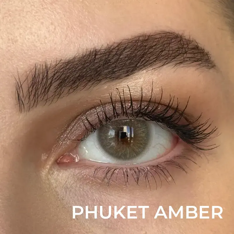 FX EYES 3 Monthly Kahverengi Renkler - 6