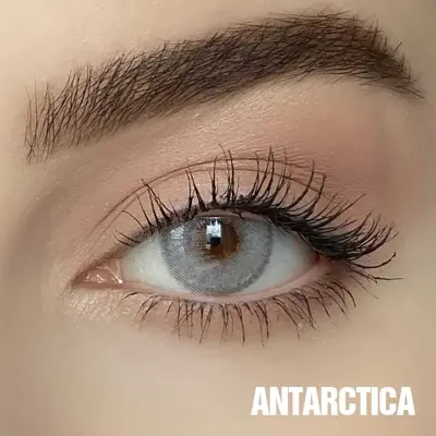 FX EYES Yearly Gri Renkler - 1