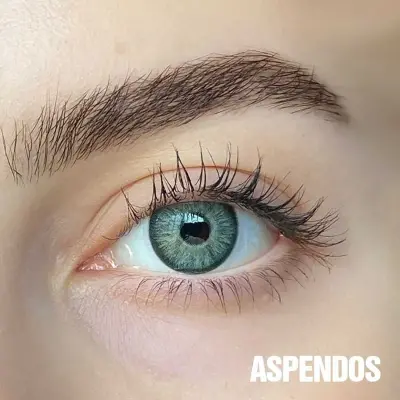 FX EYES Yearly Gri Renkler - 3