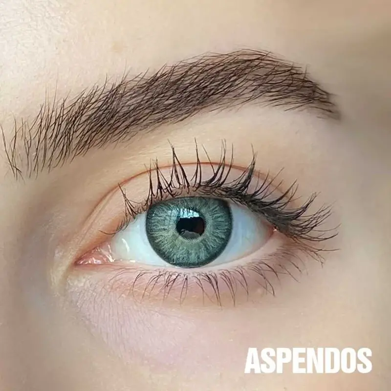 FX EYES Yearly Gri Renkler - 3