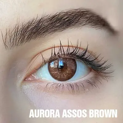 FX EYES Yearly Kahverengi Renkler - 1