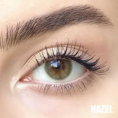 Hypnose 3 Monthly Kahverengi Renkler Numarasız - 1