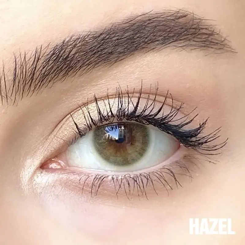 Hypnose 3 Monthly Kahverengi Renkler Numarasız - 1