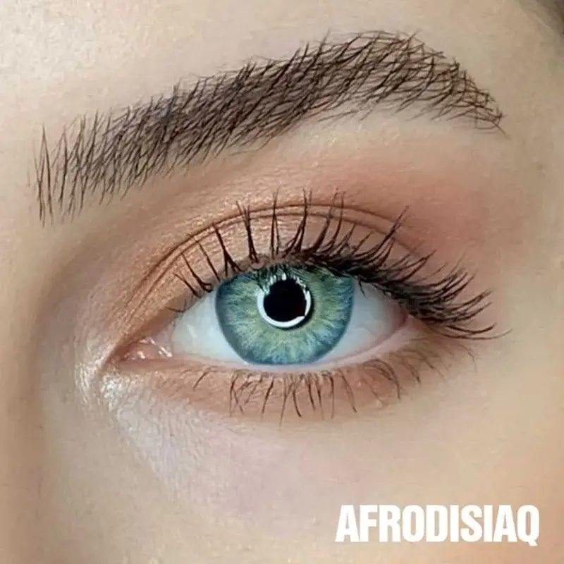 Hypnose Yearly Gri Renkler Numarasız - 2