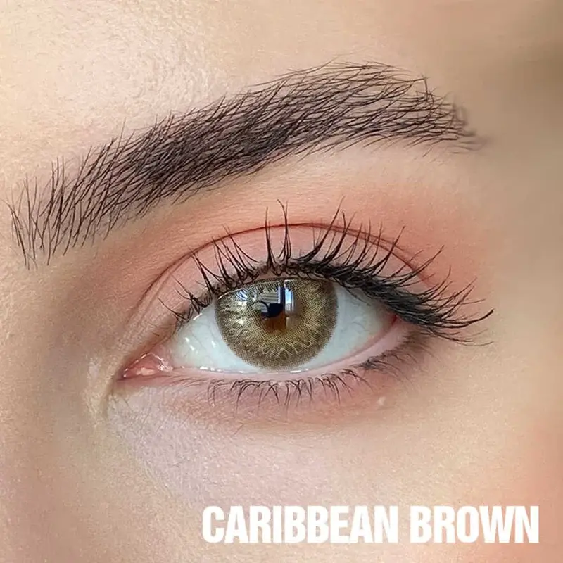 Hypnose Yearly Kahverengi Renkler Numarasız - 2