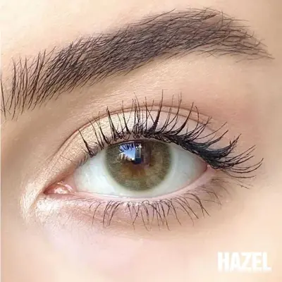 Hypnose Yearly Kahverengi Renkler Numarasız - 3