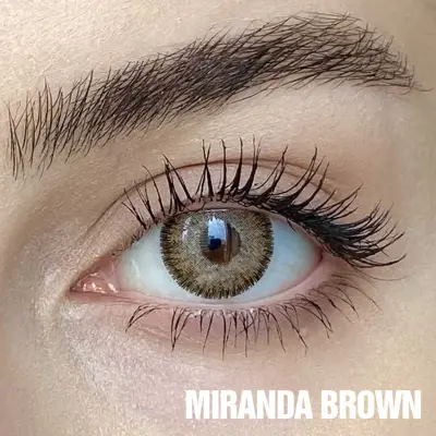 Hypnose Yearly Kahverengi Renkler Numarasız - 8