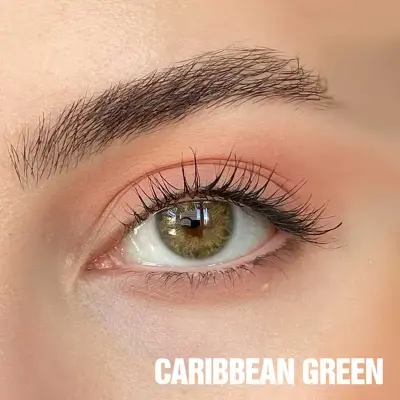 Hypnose Yearly Yeşil Renkler Numarasız - 1