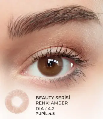 Iconic Kahverengi Renkler - 4