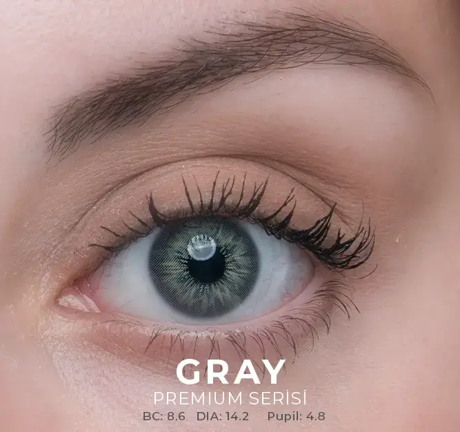 Labella Gri Renkler 3 Aylık - 4