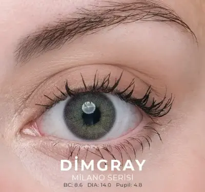 Labella Gri Renkler 3 Aylık - 6