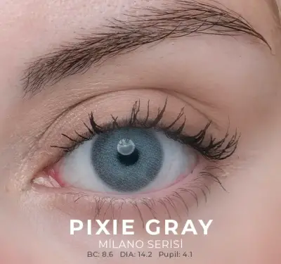 Labella Gri Renkler 3 Aylık - 8