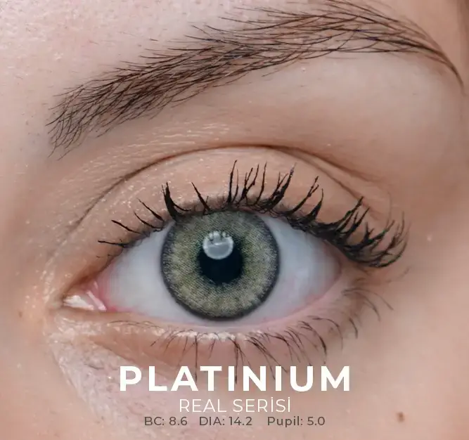 Labella Gri Renkler 3 Aylık - 9