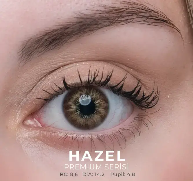 Labella Kahverengi Renkler 3 Aylık - 1