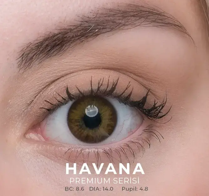 Labella Kahverengi Renkler 3 Aylık - 3