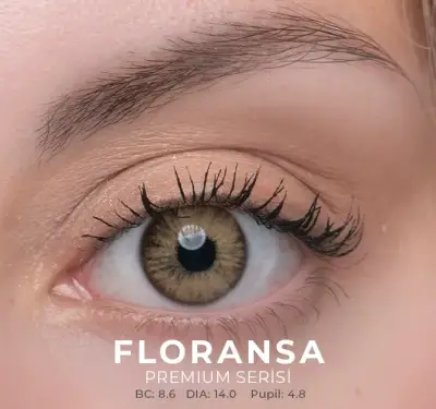 Labella Kahverengi Renkler 3 Aylık - 4