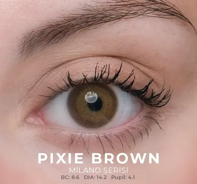 Labella Kahverengi Renkler 3 Aylık - 6