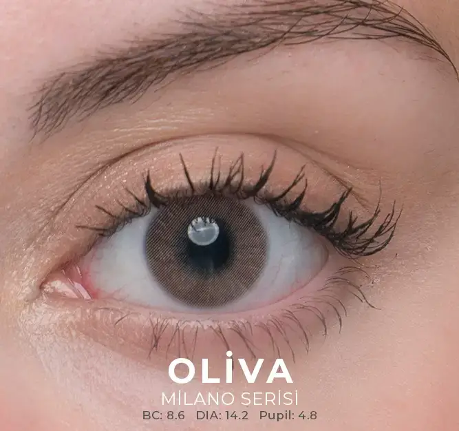 Labella Kahverengi Renkler 3 Aylık - 7