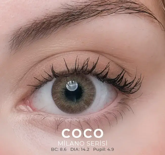 Labella Kahverengi Renkler 3 Aylık - 8