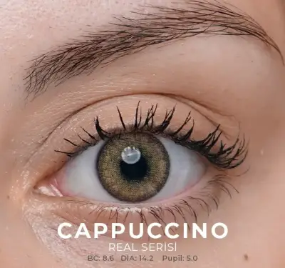 Labella Kahverengi Renkler 3 Aylık - 10