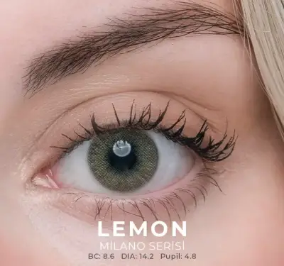 Labella Kahverengi Renkler 3 Aylık - 11