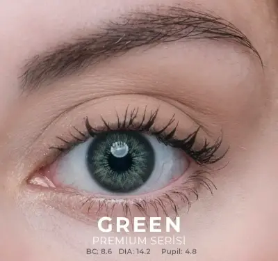 Labella Yeşil Renkler 3 Aylık - 1