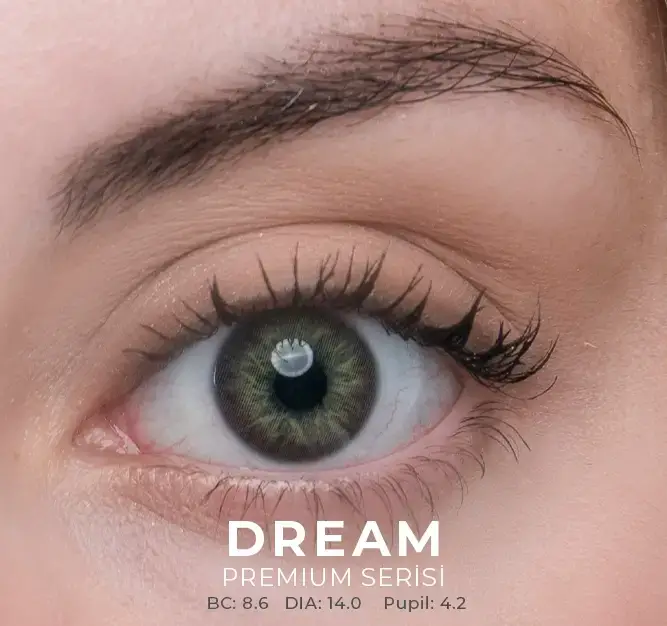 Labella Yeşil Renkler 3 Aylık - 2