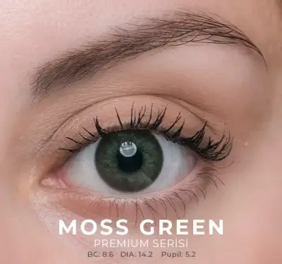 Labella Yeşil Renkler 3 Aylık - 4