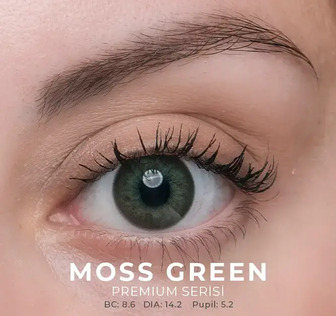 Labella Yeşil Renkler 3 Aylık - 4