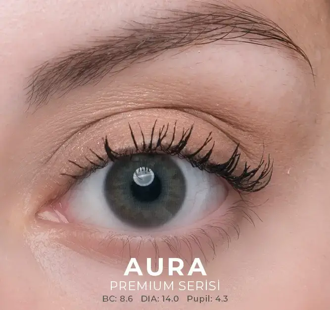 Labella Yeşil Renkler 3 Aylık - 5