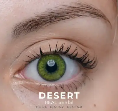 Labella Yeşil Renkler 3 Aylık - 6