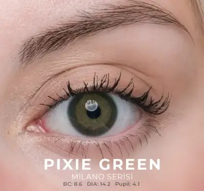 Labella Yeşil Renkler 3 Aylık - 8