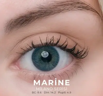 Labella Yeşil Renkler 3 Aylık - 9