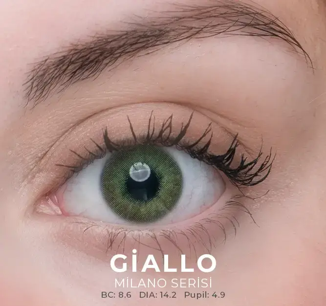 Labella Yeşil Renkler 3 Aylık - 11